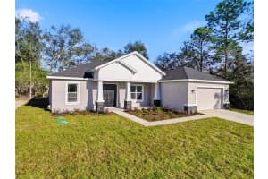 8265 AMBOY DRIVE, CITRUS SPRINGS, FL 34433 - MLS#MFRTB8458554
