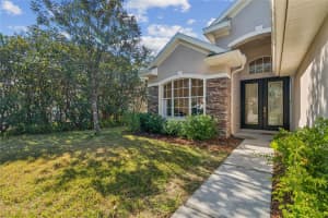 17804 ARBOR CREEK DRIVE, TAMPA, FL 33647 - MLS#MFRTB8458612