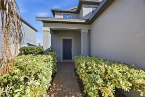 19656 LONG LAKE RANCH BOULEVARD, LUTZ, FL 33558 - MLS#MFRTB8458708