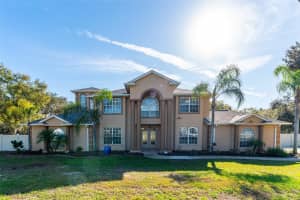 11302 HOOT OWL COURT, RIVERVIEW, FL 33569 - MLS#MFRTB8458738