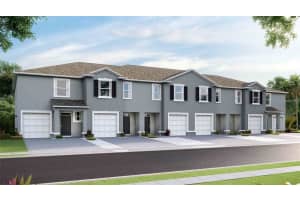 8106 Swan Mist Way, WESLEY CHAPEL