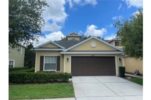20120 Weeping Laurel Pl, TAMPA