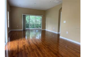 20120 WEEPING LAUREL PLACE, TAMPA, FL 33647 - MLS#MFRTB8458761