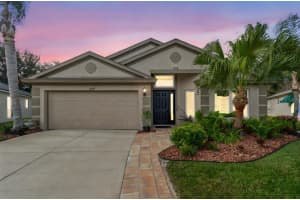5629 GRINDSTONE LOOP, WESLEY CHAPEL, FL 33544 - MLS#MFRTB8458791