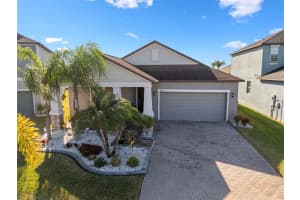 13322 WILDFLOWER MEADOW DRIVE, RIVERVIEW, FL 33579 - MLS#MFRTB8458851