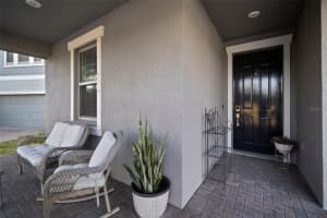 13322 WILDFLOWER MEADOW DRIVE, RIVERVIEW, FL 33579 - MLS#MFRTB8458851