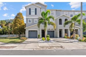 504 Wheaton Trent Pl, TAMPA