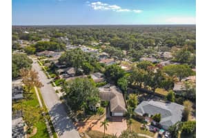 35 BAYWOOD COURT, PALM HARBOR, FL 34683 - MLS#MFRTB8458874