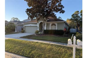 12507 BLAZING STAR DRIVE, TAMPA, FL 33626 - MLS#MFRTB8458897