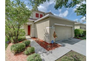17552 QUEENSLAND STREET, LAND O LAKES, FL 34638 - MLS#MFRTB8458926
