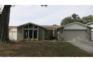 7432 Oakvista Cir, TAMPA