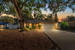 1419 Shadow Bay Ln, BRANDON