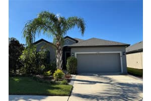 12142 CREEK PRESERVE DRIVE, RIVERVIEW, FL 33579 - MLS#MFRTB8458946