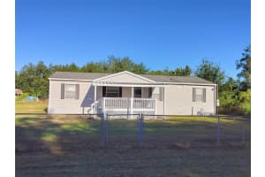 4209 LOURY DRIVE, WESLEY CHAPEL, FL 33543 - MLS#MFRTB8458947