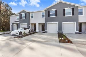 32828 Pez Landing Ln, WESLEY CHAPEL