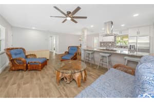 1010 EMERSON DRIVE, DUNEDIN, FL 34698 - MLS#MFRTB8458963