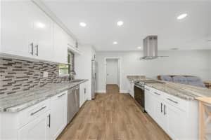 1010 EMERSON DRIVE, DUNEDIN, FL 34698 - MLS#MFRTB8458963