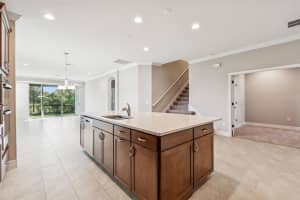 345 VILLA CORTE DRIVE, LUTZ, FL 33549 - MLS#MFRTB8458987