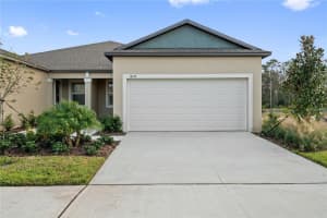 18156 PLEASANTVIEW BOULEVARD, LAND O LAKES, FL 34638 - MLS#MFRTB8459036