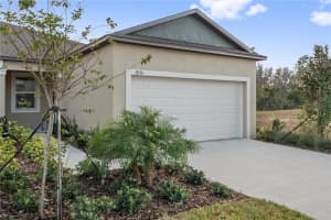 18156 PLEASANTVIEW BOULEVARD, LAND O LAKES, FL 34638 - MLS#MFRTB8459036