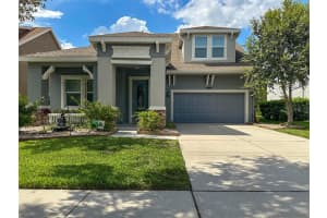 21529 SOUTHERN CHARM DRIVE, LAND O LAKES, FL 34637 - MLS#MFRTB8459038