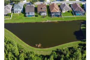 21529 SOUTHERN CHARM DRIVE, LAND O LAKES, FL 34637 - MLS#MFRTB8459038
