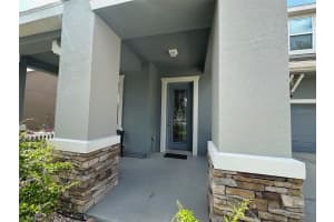 21529 SOUTHERN CHARM DRIVE, LAND O LAKES, FL 34637 - MLS#MFRTB8459038