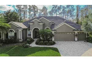 27736 PINE POINT DRIVE, WESLEY CHAPEL, FL 33544 - MLS#MFRTB8459054