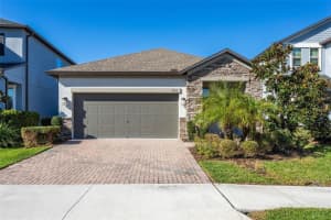 9783 WILD BEGONIA LOOP, LAND O LAKES, FL 34637 - MLS#MFRTB8459059