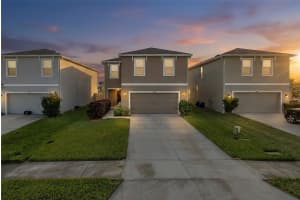 16957 SECRET MEADOW DRIVE, ODESSA, FL 33556 - MLS#MFRTB8459062