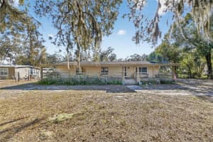 12005 GLENHILL DRIVE, RIVERVIEW, FL 33569 - MLS#MFRTB8459066