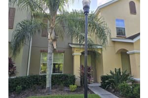 14155 Stowbridge Ave, TAMPA