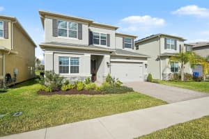 32745 TAMARIND GROVE LANE, WESLEY CHAPEL, FL 33543 - MLS#MFRTB8459137