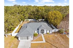 8155 GIFFEN LANE, SPRING HILL, FL 34608 - MLS#MFRTB8459138