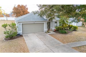 4309 BALINGTON DRIVE, VALRICO, FL 33596 - MLS#MFRTB8459152