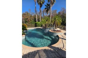 MLS# MFRTB8459162, Tarpon Springs, Florida 34688