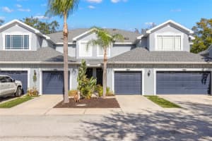 6024 PARKSIDE MEADOW DRIVE, TAMPA, FL 33625 - MLS#MFRTB8459169