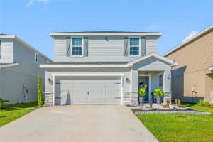 12331 TERRACE BLUFF, RIVERVIEW, FL 33579 - MLS#MFRTB8459171