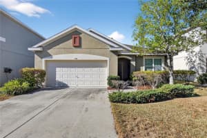 11551 Tangle Stone Dr, GIBSONTON