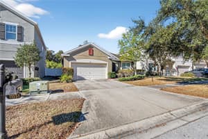 11551 TANGLE STONE DRIVE, GIBSONTON, FL 33534 - MLS#MFRTB8459187