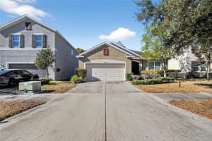 11551 TANGLE STONE DRIVE, GIBSONTON, FL 33534 - MLS#MFRTB8459187