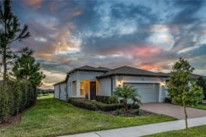 19212 IRON TOPSAIL ISLE, LAND O LAKES, FL 34638 - MLS#MFRTB8459209
