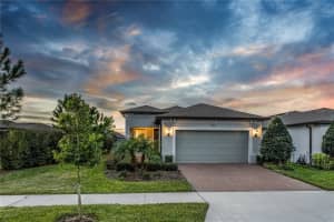 19212 IRON TOPSAIL ISLE, LAND O LAKES, FL 34638 - MLS#MFRTB8459209