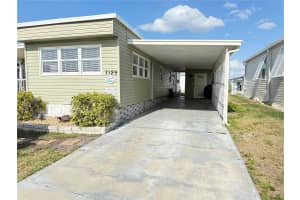 7129 MOUNT ARLINGTON DRIVE, ST PETERSBURG, FL 33702 - MLS#MFRTB8459216