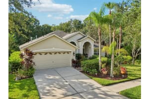 8257 SWANN HOLLOW DRIVE, TAMPA, FL 33647 - MLS#MFRTB8459221
