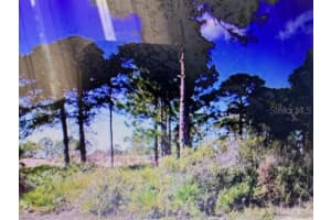 0 TOLEDO BLADE BOULEVARD, NORTH PORT, FL 34288 - MLS#MFRTB8459229