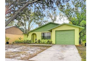 16132 Sagebrush Rd, TAMPA 16132 Sagebrush Rd, TAMPA