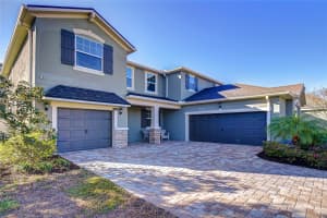11724 WROUGHT PINE LOOP, RIVERVIEW, FL 33569 - MLS#MFRTB8459256