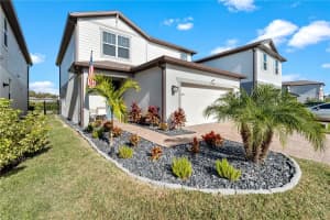 17713 EVERLONG DRIVE, LAND O LAKES, FL 34638 - MLS#MFRTB8459328