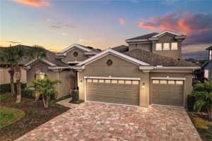 8206 WATER COLOR DRIVE, LAND O LAKES, FL 34638 - MLS#MFRTB8459337